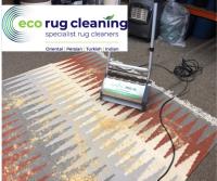Eco Friendly Carpet Cleaning image 12